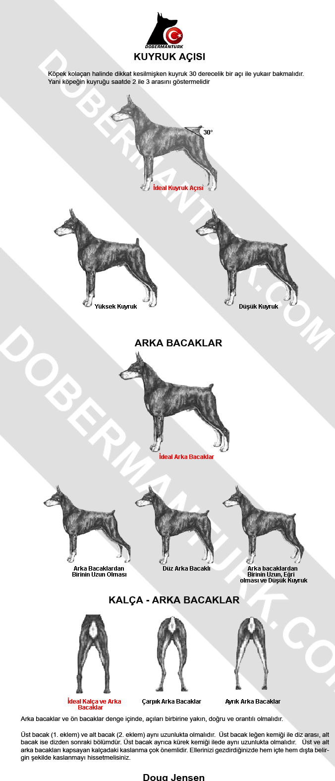 Вес щенка добермана по месяцам таблица