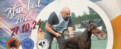 DOBERMANN CLUB SHOW 2024-İSTANBUL